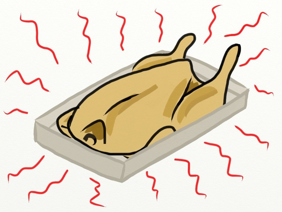 drawn hot chicken in the counter