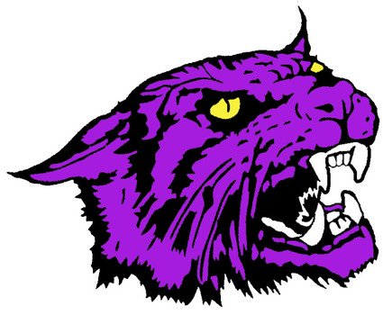 Wildcat Logo Clip Art N11