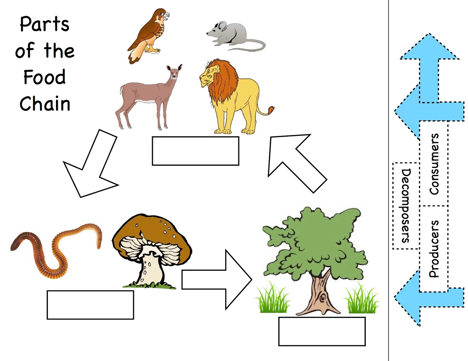 Simple Food Chain Lion drawing free image download