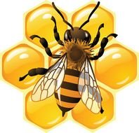 Abeilles Images Photos Et Illustrations Gratuites Page 2