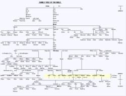 Bible Family Tree drawing