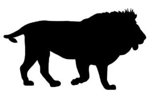 side view of walking Lion, Silhouette