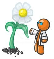 Plant Clip Art N38