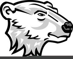 Drawing of Polar Bear Head