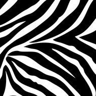 zebra pattern