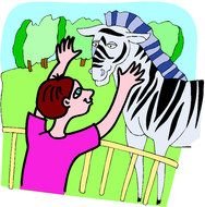 zebra in the zoo as a picture for clipart