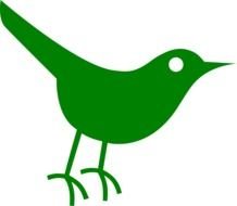 painted little green bird