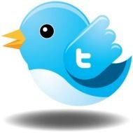 Twitter Logo Vector
