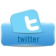Twitter Icon N2