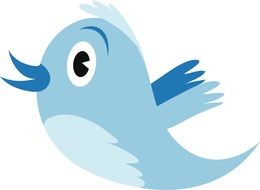 bird as a symbol of twitter in graphic representation