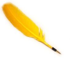 Feather Quill Pen