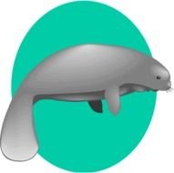 Manatee Clip Art Free N8