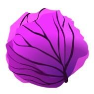 painted purple cabbage
