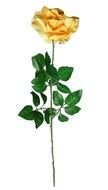 Clip art of Yellow Rose