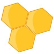 honeycombs on a white background
