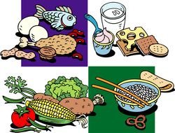 types of food, Clip Art