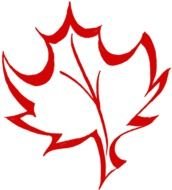 big red Maple Leaf drawing