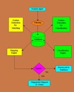 Block Diagramfor Fingerprint drawing