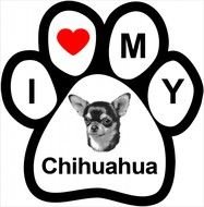 Love My Chihuahua drawing