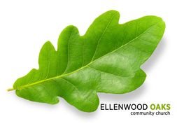 Oak Leaf as a picture for clipart