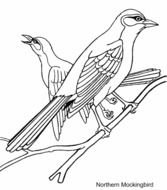Florida State Bird Coloring Page