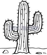 Cactus Drawings N2
