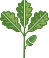 Oak Leaf Clip Art N16