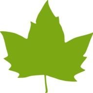 Green Maple Leaf Clip Art N6