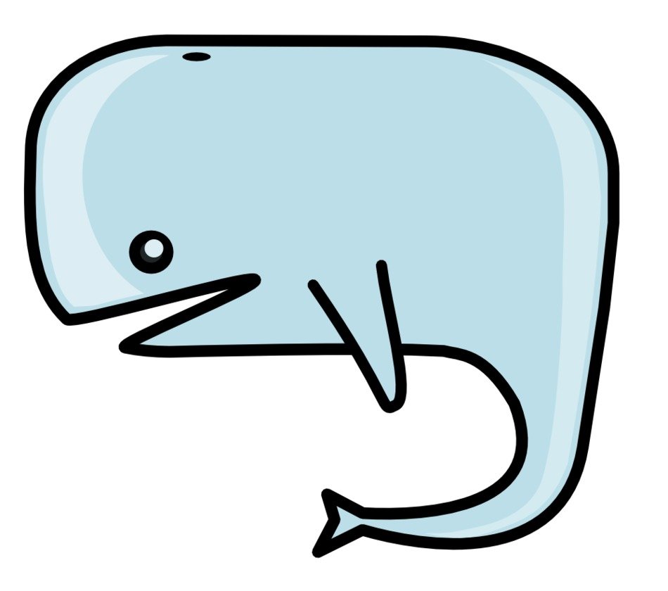 Beautiful and colorful drawing of the whale clipart