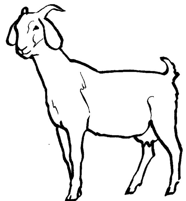 Goat Outline Clip Art