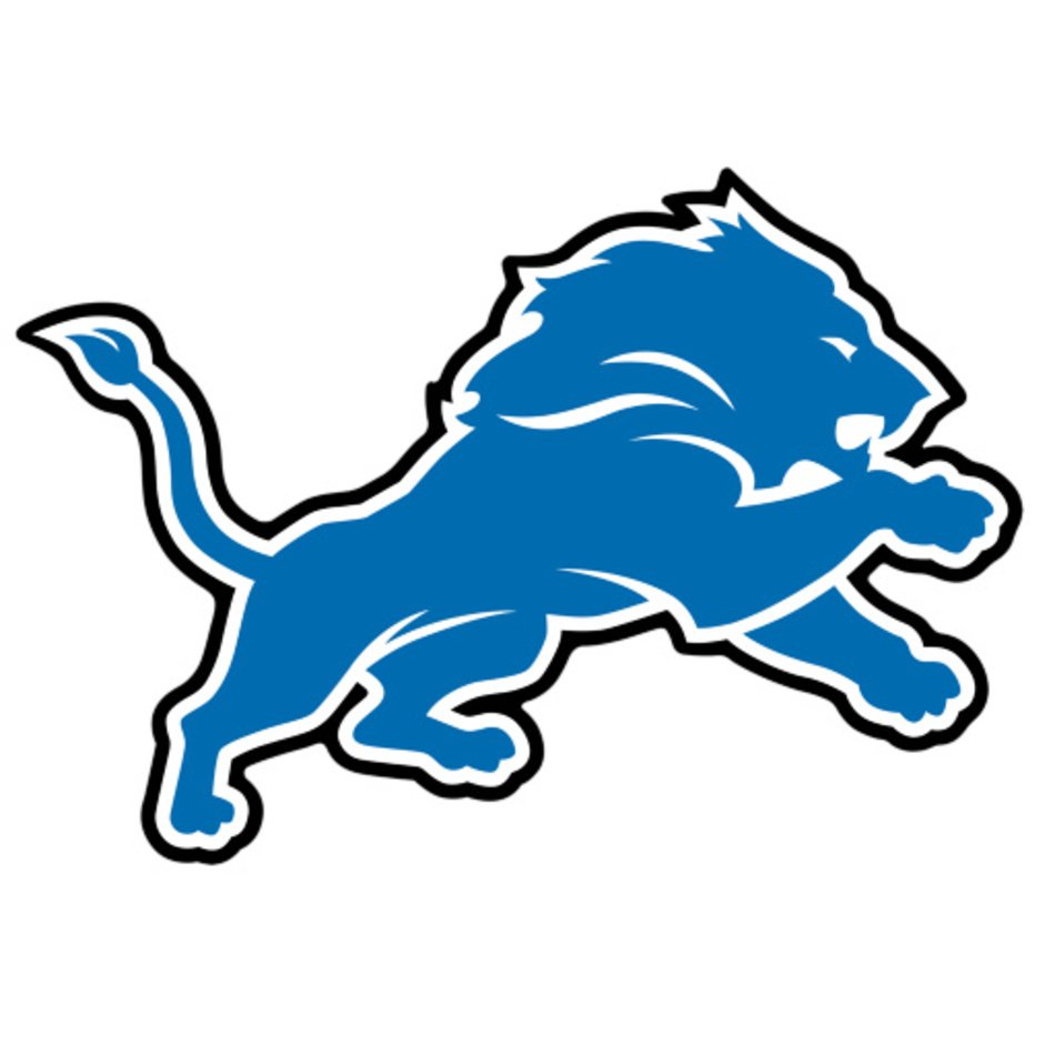 Detroit Lions Logo N8