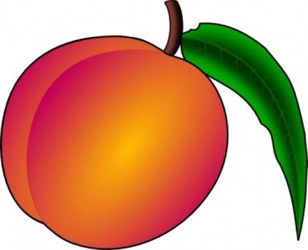 Peach Clip Art N29