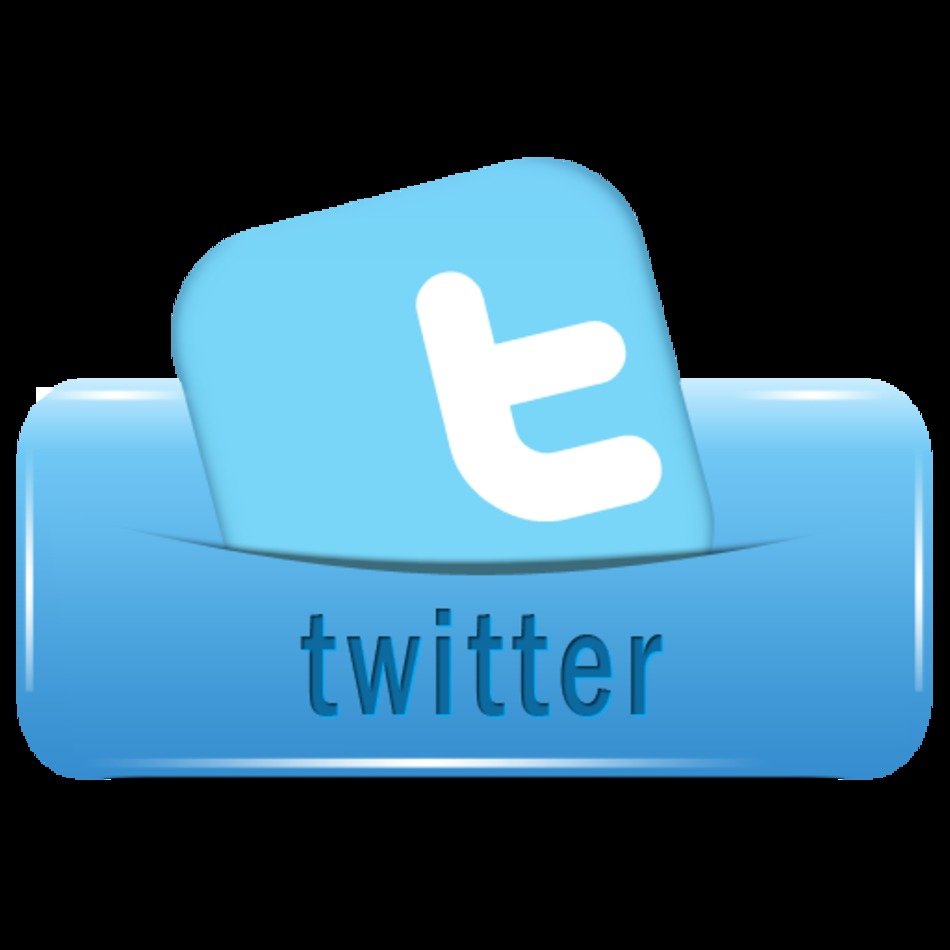 Twitter Icon N2