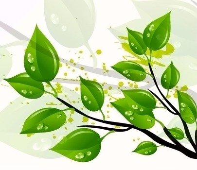 Green Leaf Vector N6