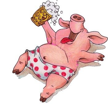 Drunk Pig