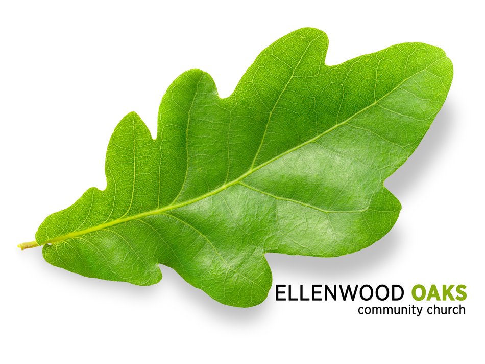 Oak Leaf as a picture for clipart