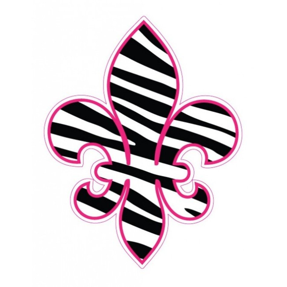 Pink Zebra Stripe Border N2