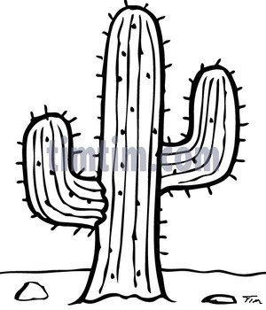 Cactus Drawings N2