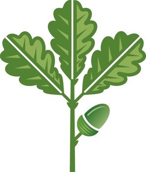 Oak Leaf Clip Art N16