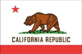 California Flag bear and star drawing