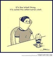 Funny Diet Cartoons N2