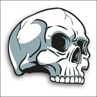 Skull Clip Art N31