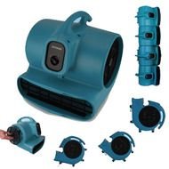 Carpet Dryers Air Movers