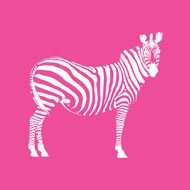 Pink Zebra Print N4