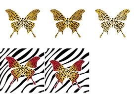 Vector Butterflies drawing