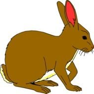 Rabbit Clip Art drawing