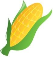 Ä°llustration of Corn