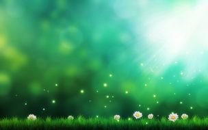 Green Daisy card drawing
