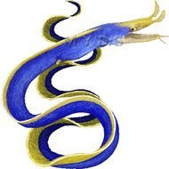 Eel Clip Art N7