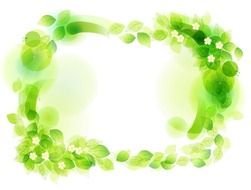 Floral Frame Vector N2